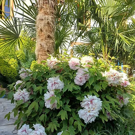 Gasthuis Le Relais De 3*